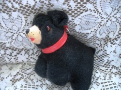 black bear a_03